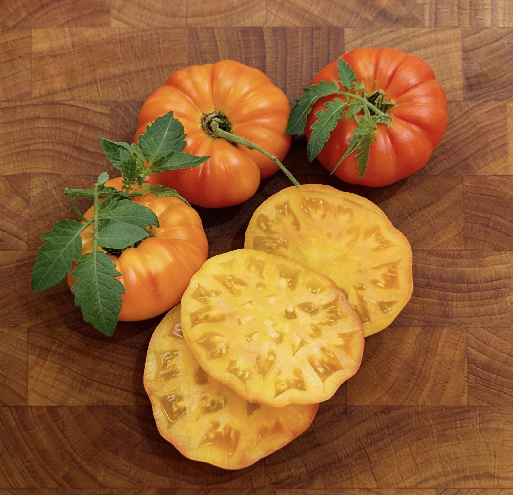 トマト ページ Chef's Choice Orange, (F1) Tomato Seeds | Urban Farmer